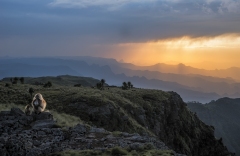 his kingdom