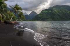 tahiti spikes