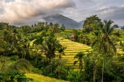 under the volcano
